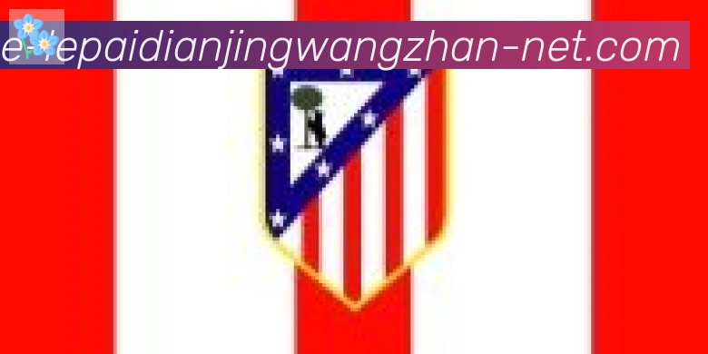 乐派电竞官方网站合作伙伴