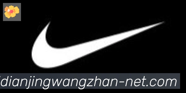 乐派电竞官方网站合作伙伴